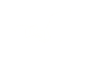 Logo nu blanc alpha
